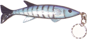 SA_Fisch.gif (6853 Byte)